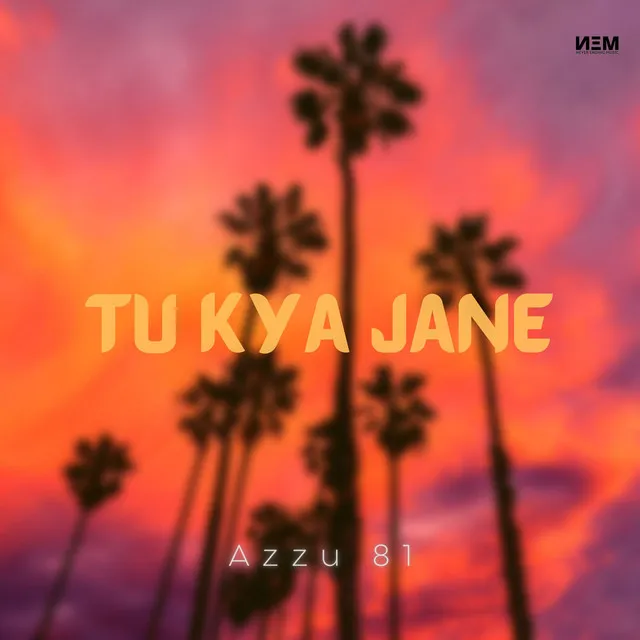 Tu Kiya Jane