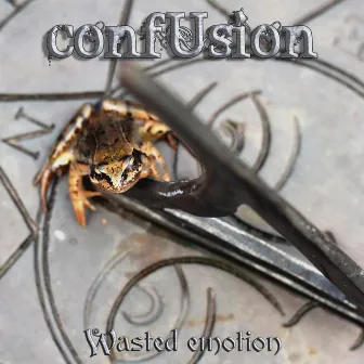 Wasted Emotion by Confusion