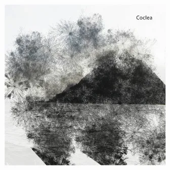 Coclea by Coclea