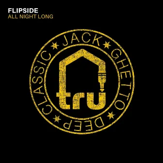 All Night Long by Flipside