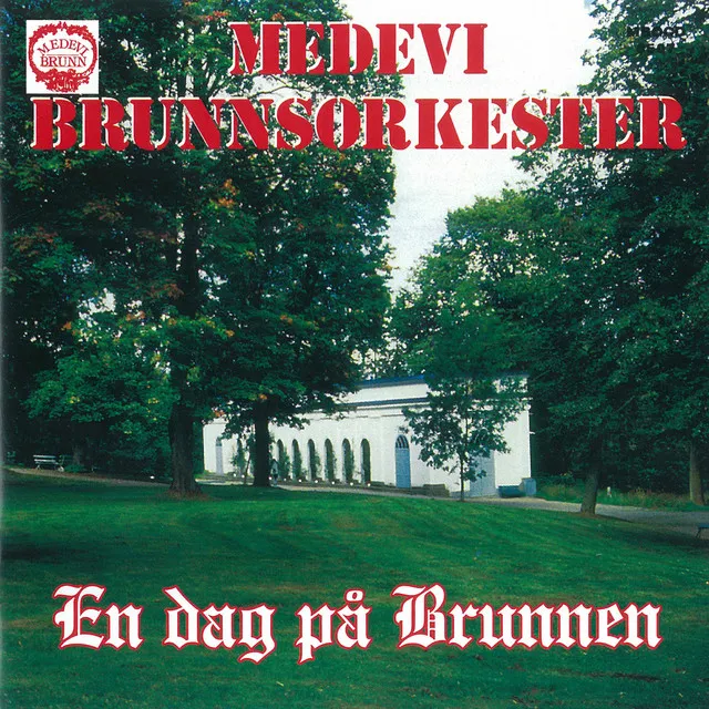 En dag på Brunnen (Live)