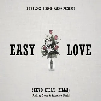 Easy Love by Seevo