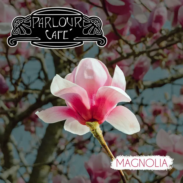 Magnolia