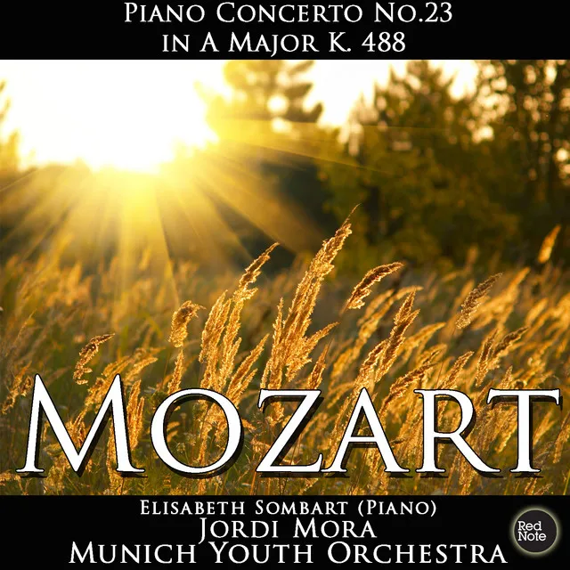 Piano Concerto No.23 in F Sharp Minor, K. 488: II. Adagio