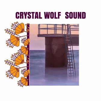 Crystal Wolf Sound by Tender Oceanwaves Nature Sounds