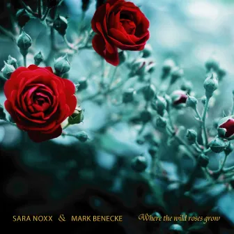 Where the Wild Roses Grow by Sara Noxx