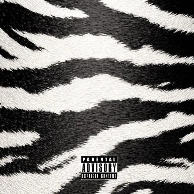 Zebra!