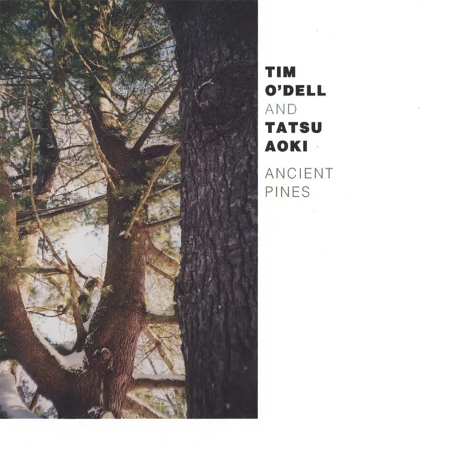 Ancient Pines Suite: II. Old Growth