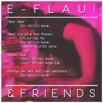 E-Flau! & Friends by e-Flau!