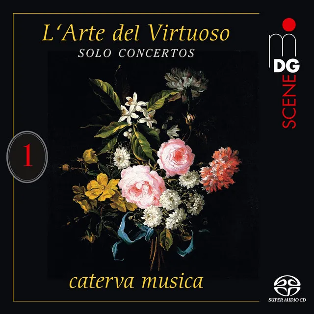 Viola Concerto in E-Flat Major, Cv:VIII:116: II. Adagio molto