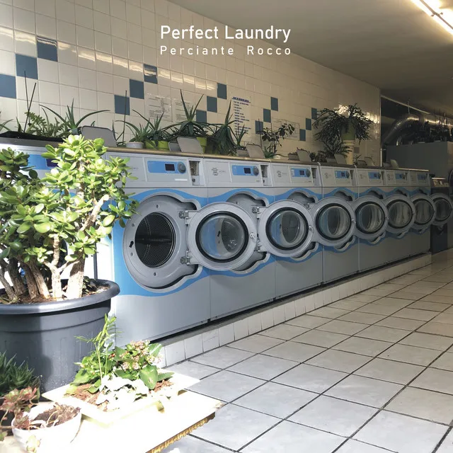 Perfect Laundry