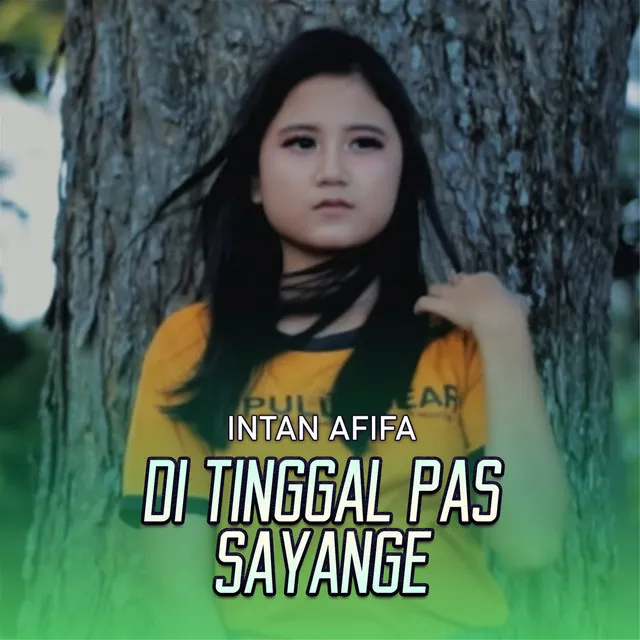 Di Tinggal Pas Sayang Sayange