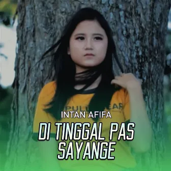 Di Tinggal Pas Sayang Sayange by Intan Afifa