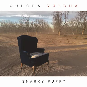 Culcha Vulcha by Snarky Puppy