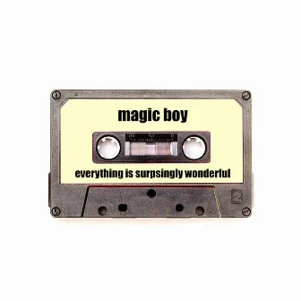 Everything Is Surprisingly Wonderful by Magic Boy