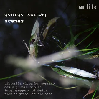 György Kurtág: Scenes (Scenes from a Novel, Op. 19, Eight Duos for Violin and Cimbalom, Op. 4, Seven Songs, Op. 22, In memory of a Winter evening, Op. 8, Several Movements from Georg Christoph Lichtenberg's Sudelbücher 'Scrapbooks', Op. 37a & Hommage à Berényi Ferenc 70) by Luigi Gaggero