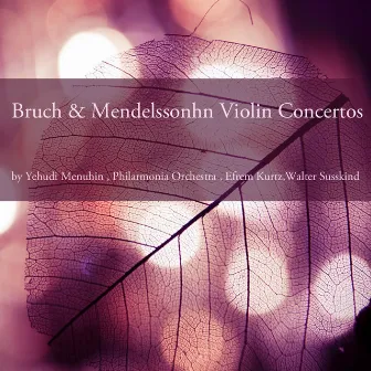 Bruch & Mendelssohn: Violin Concertos by Efrem Kurtz