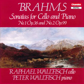 Brahms: Cello Sonatas by Peter Wallfisch