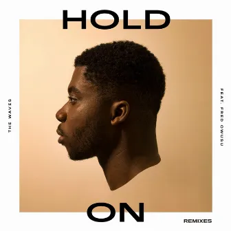 Hold On (Remixes) by The Waves