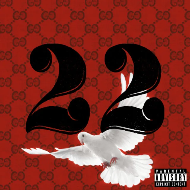 22 Birds