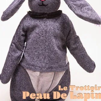 Peau de lapin by Le trottoir