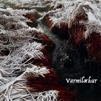 Varmilækur by Sverrir Bergmann