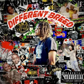 Different Breed by Astronaut JD