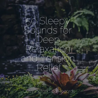 50 Sleepy Sounds for Deep Relaxation and Tension Relief by Sound Healing Center