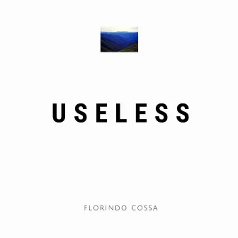 Useless by Florindo Cossa