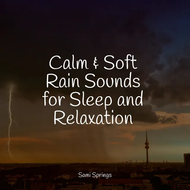 Calm & Soft Rain Sounds for Sleep and Relaxation