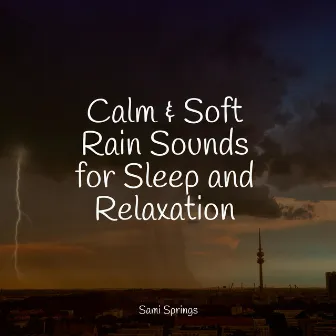 Calm & Soft Rain Sounds for Sleep and Relaxation by Unknown Artist