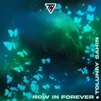 Now in Forever by Tolunay Sahin