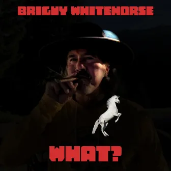 What? by BriGuy WhiteHorse