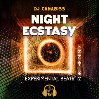 Night Ecstasy: Experimental Beats for the Mind by DJ Canabiss