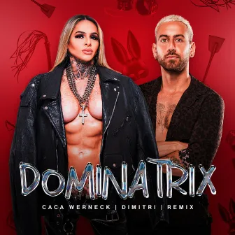 Dominatrix (Remix) by Dimitri Sin