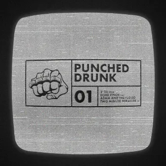 Punched Drunk by ECHO FINCH