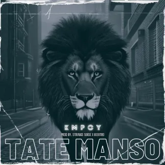 TATE MANSO by Kmpoy