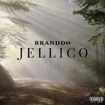 Jellico by Branddo