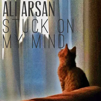 Stuck On My Mind by Ali Arsan