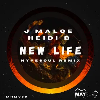 New Life (Hypesoul DJ Remix) by Heidi B