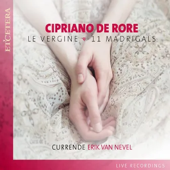 De Rore: Le vergine - 11 Madrigals (Live) by Currende