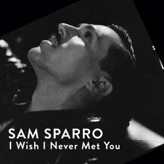 I Wish I Never Met You by Sam Sparro