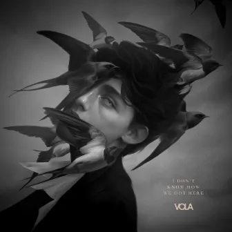 I Don't Know How We Got Here by VOLA