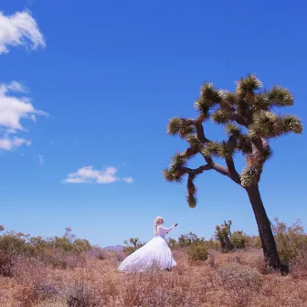 Joshua Tree by Jason Nutter