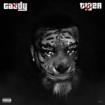 Tiger by 2gaudy