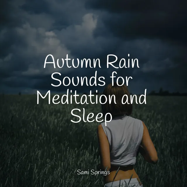 Autumn Rain Sounds for Meditation and Sleep