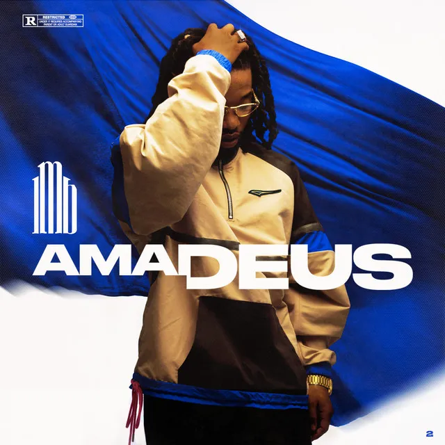 AMADEUS