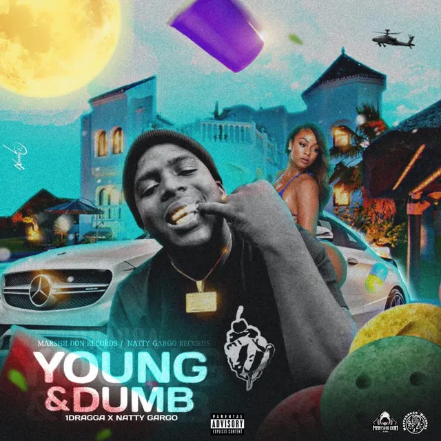 YOUNG & DUMB - OFFICIAL AUDIO