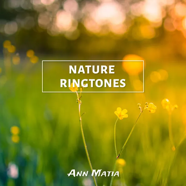 Nature Ringtones: Muisic with Nature Sounds, Stress Free Therapy, Positive Power, Relaxation