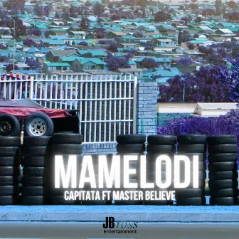 Mamelodi by Capitata